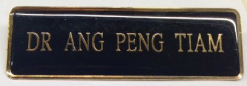Nametag, Stainless Steel Etch, Gold Plate, Colour Fill, Bubble Coat